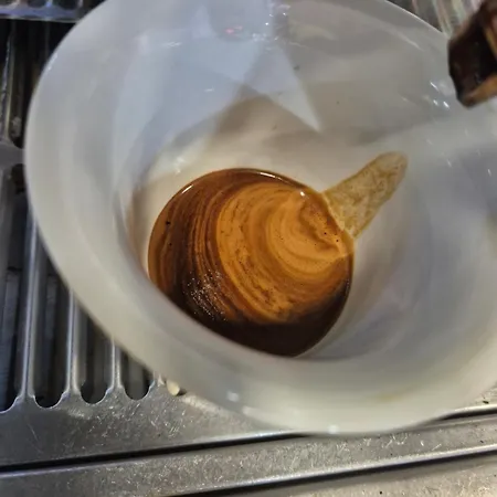 Roxy's In Konukevi 4*